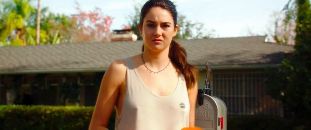 White Bird in a Blizzard (2014)