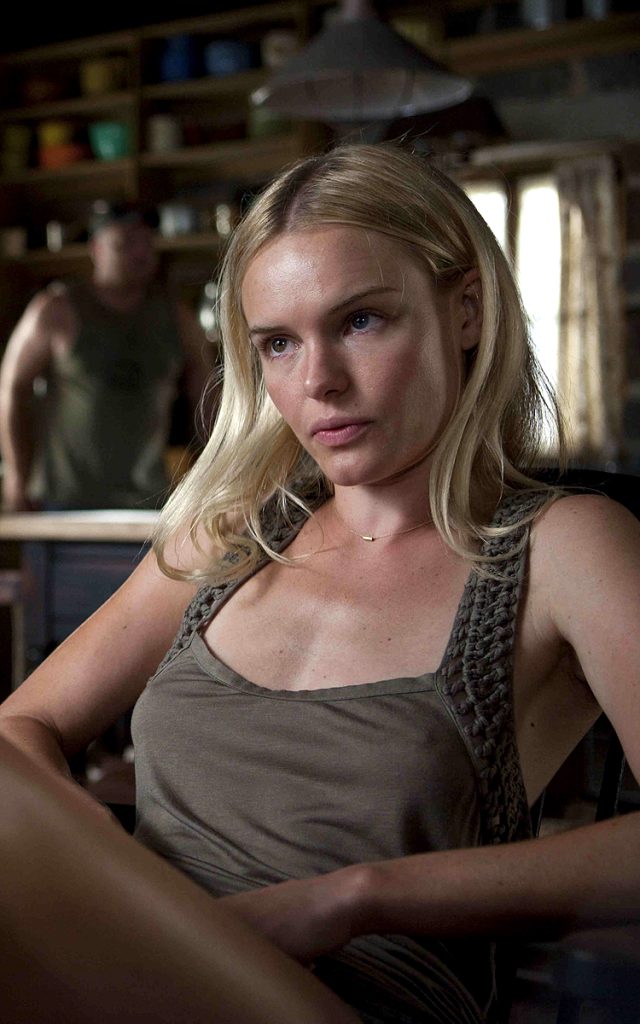 Straw Dogs (2011)